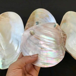 Nacre Plaque Fait Main Décoratif Naturel Coquillage Plat Écologique Porte-Bijoux Plateau pour Hôtel Décor À La Maison - Product Image 3