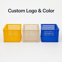 Caisses en plastique recyclables empilables et écologiques avec logo et couleur personnalisés pour le stockage et la logistique des fruits et légumes