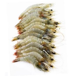 Gambas Vannamei congeladas (mariscos) disponibles a precios mayoristas - Product Image 4