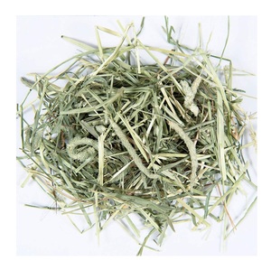 Foin de Timothy de qualité supérieure, en gros et à prix avantageux, pour l'alimentation animale en vrac - Product Image 1