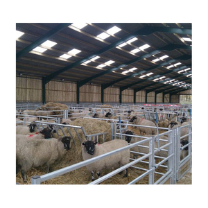 Alta qualità prefabbricata caprina struttura in acciaio caseificio capra fienile casa per la vendita - Product Image 3