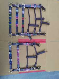 High Quality Argentinian Multi-Color Leather Horse Halter Durable <b>Equestrian</b> Racing & Riding Gear - Product Image 2
