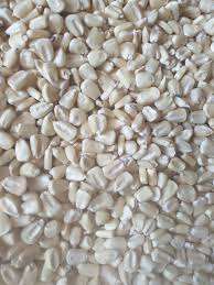 Approvisionnement en gros de maïs blanc biologique non OGM de première qualité, grains séchés, triés et nettoyés pour la consommation humaine, destiné à l'exportation - Product Image 5