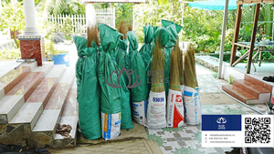 Bâton de balai à noix de coco de HAUTE QUALITÉ Bâton robuste pour la production de balais fournissant un nettoyage fiable Usage ménager quotidien Vietnam - Product Image 3