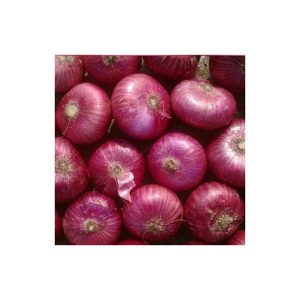 Top Bán Cao Cấp Chất Lượng Cây Trồng Mới Rau Tươi Tươi Màu Đỏ Hành Tây Tại Nhà Máy Giá Từ Ai Cập - Product Image 4