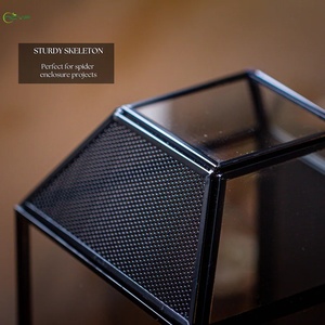 Terrario de Vidrio Hecho a Mano en EE. UU. con Base de Madera y Rejilla de Ventilación para Insectos, Arañas, <span class=keywords><strong>Mantis</strong></span>, Decoración del Hogar - Product Image 4