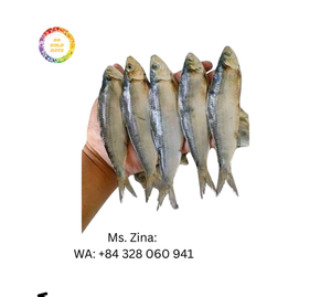 อาหารทะเลจากเวียดนาม2025 100% ปลาเฮอริ่งแห้งจากธรรมชาติอาหารทะเลพรีเมียมจากเวียดนามสำหรับตลาดโลก - Product Image 6