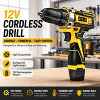 Perceuse sans fil légère 12V avec design ergonomique, perceuse électrique rechargeable au lithium-ion pour le perçage du bois et la réparation de meubles