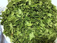 Pasokan Grosir Ekstrak Herbal Daun Moringa Liar (Moringa Oleifera) Suplemen Kesehatan dalam Kemasan Drum dari India