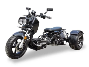 Tricycle prêt à être expédié, moteur monocylindre 150cc 4 temps, vitesse maximale >80 km/h - Product Image 4