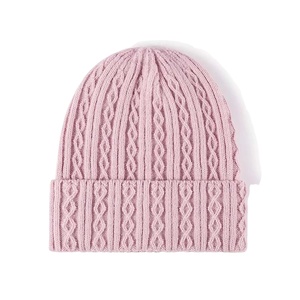 Wholesale New Arrival Beanie Cap Custom Logo High Quality Beanie Cap Knitted Wholesale Unisex Winter Warm Beanies Cap BY HI 2026 - Product Image 1