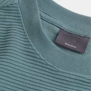 Sudaderas de algodón 100% de envío rápido para hombre, Color sólido, estampado Digital de invierno con logotipo bordado cómodo, Etiqueta Privada - Product Image 4