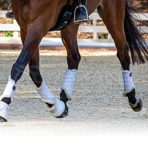 Botas de cepillado de caballos de cuero profesional de alta calidad Nuevo estilo Diseño personalizado - Product Image 6