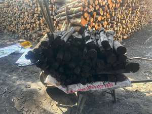 ความลับของไฟที่ติดทนนานสำหรับทุกมื้อย่างคือการใช้ถ่านที่มีเถ้าต่ำที่สะอาด - Product Image 5