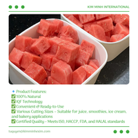 Vietnam Premium LQF Diepvries Watermeloen Vacuümverpakt Bulk voor Sapbereiding & Voedselverwerking Diepvries Desserts