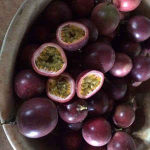 Bonne qualité Passiflora ligularis/Fruit de la Passion glacé Ms sofia - Product Image 1