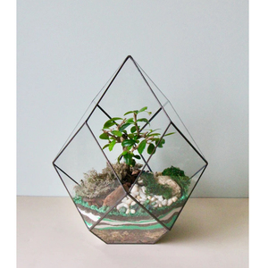New Top Selling Metal Border Clear <b>Glass</b> Vase Geometric <b>Terrarium</b> Black Colour for Garden Plant Decorative Tabletop Decor - Product Image 6