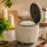 Nouvelle Mini-cuiseuse à riz domestique haut de gamme, programmable, cuisson rapide intelligente, norme américaine 110V, norme européenne 220V