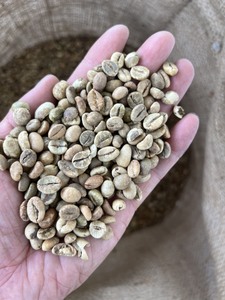 Grano de café verde 0084824761474 Sra. Vera - Product Image 5
