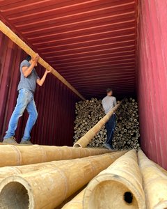 EXPORTACIÓN VENTA Poste de bambú 3M Vietnam palo de bambú Alisador Poste de bambú sólido precio más bajo - Product Image 6