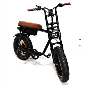 Bicicleta Eléctrica Todoterreno para Adultos de 20 Pulgadas y 500W/750W con Llantas Gruesas - Uso en Playa y Montaña, Color Negro Marrón T6-BL - Product Image 1