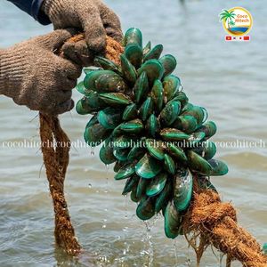 Cuerda de Coco Natural para Acuicultura – Biodegradable - Product Image 5