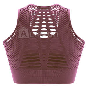 Sujetador deportivo transpirable para mujer Diseño único Sujetador deportivo para mujer Sujetador deportivo de secado rápido para mujer Venta en línea - Product Image 2