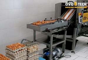 Rompehuevos Motorizado de Acero OVO-TECH RX-2 con Caja de Cambios para Hostelería Comercial, Capacidad de 13000 Huevos/Hora, 415 KG - Product Image 6