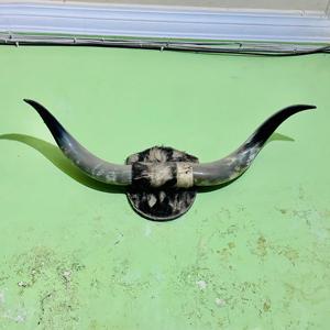 Worldcraft impex โคมไฟเกลือติดผนังรูปเขาควายแกะสลักทำด้วยมือ - Product Image 5