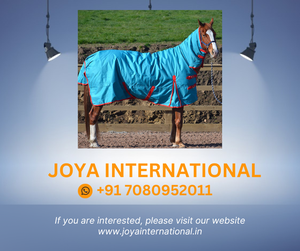 Tapis pour chevaux OEM/ODM, équipement de marque privée, respirant, Stable, couvertures pour chevaux, au meilleur prix compétitif - Product Image 2