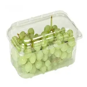 Fruits Fresh Sweet Natural Grape