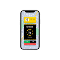 Application mobile de taxi en marque blanche, 20 ans d'expérience avec options de personnalisation de la marque et design UI/UX pour les taxis professionnels