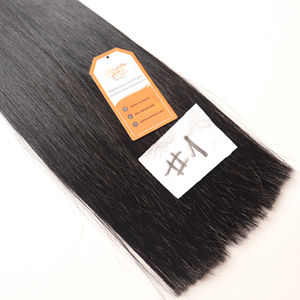 Haute Qualité 100% Extensions de Cheveux Humains Machine Double Trame Style Droit du Vietnam Meilleur Prix de Gros - Product Image 1