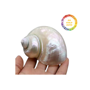 Elegantes servilleteros hechos a mano, accesorios de mesa de concha marina Natural Real para cenas y banquetes de lujo, estilo Ángel pulido - Product Image 4