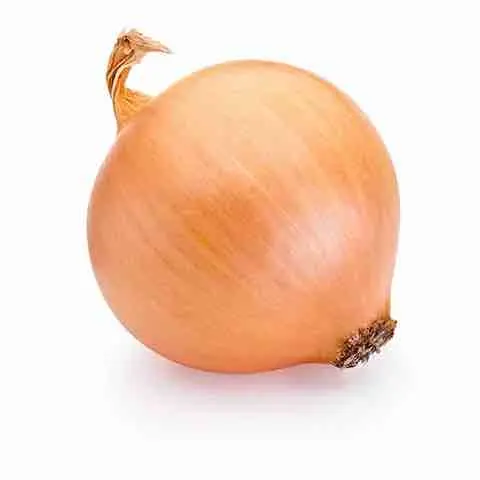 Wholesale And Lowest Price Fresh Red Onion For Sale