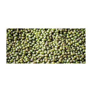 Lentilles vertes séchées de haute qualité Lentilles vertes pures naturelles dans un emballage en vrac Produit à prix compétitif - Product Image 1