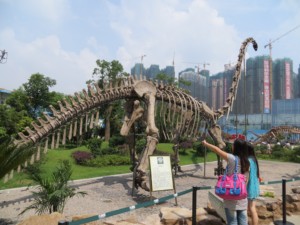 Nhà máy trực tiếp sống động như thật khủng long Bộ Xương Brachiosaurus hóa thạch cho công viên chủ đề thu hút dinosky - Product Image 2