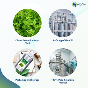 Huile Essentielle de Salvia 100% Pure et Naturelle en Gros, Marzoran Sucré, Emballage Personnalisé OEM/ODM, Usage Industriel, Soins de la Peau, Beauté - Product Image 4