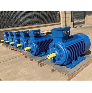 มอเตอร์ไฟฟ้าสามเฟส |   ผู้จัดจำหน่ายมอเตอร์อุตสาหกรรมขนาดใหญ่ - Product Image 6