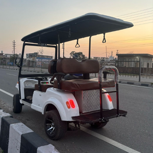 Every Ride4 Seater Golf Cart Electric Golf Cart Premium Golf <b>Buggy</b> - Product Image 6