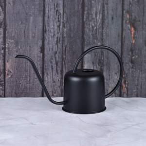 Arrosoir pour plantes Intérieur Extérieur bidon pour plantes décoration de jardin arrosoirs rond couleur blanche par Axiom Home Accen - Product Image 4