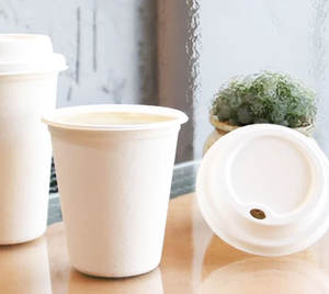 <b>Disposable</b> Sugarcane Pulp Glass <b>Drinkware</b> Compostable and Biodegradable 8oz 12oz 16oz Sizes Available - Product Image 1