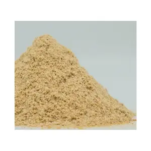 Farina di soia fermentata in polvere