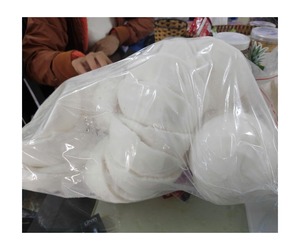 Carne de coco congelada/Carne de coco joven entera/en rodajas/cubo triangular/Carne de coco joven congelada IQF tierna con buen precio - Product Image 4