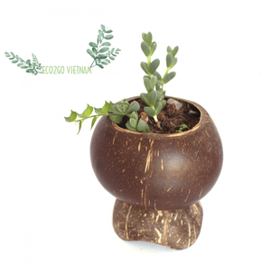 Coconut Pots for Tomato Plants/ Coconut <b>Shell</b> Plant Pot With Cheapest Price Made by Eco2go Vietnam - Product Image 1