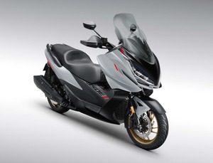 Scooter Adulte 350E de Qualité Supérieure, Modèle 2025, avec 2 Ans de Garantie, Prêt à être Expédié - Product Image 5