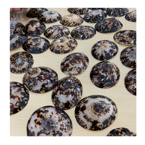 เปลือกแข็งที่สวยงามจากเวียดนามใช้สำหรับผลิตภัณฑ์ของขวัญและโต๊ะแสดงสินค้า99โกลด์ดาต้า - Product Image 3