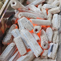 Barbecues jetables écologiques, briquettes de sciure sans fumée, charbon de bois, durée de combustion de 5 à 6 heures, facilement nettoyables pour