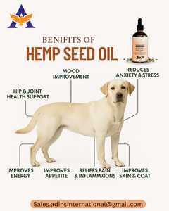 Fórmula calmante y antiestrés de aceite de semilla de cáñamo para mascotas, la fórmula más vendida ODM OEM, apoya la salud inmunológica de las articulaciones de los perros - Product Image 5