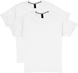 Hanes男士X-Temp性能t恤套装，棉混纺男士吸湿排汗t恤，2件装